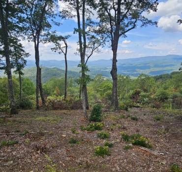 135 Summit Drive, Hayesville, North Carolina 28904, ,Residential Lot,For Sale,135 Summit Drive,1122